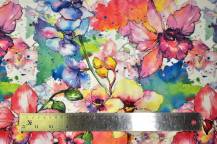 Obrázek k výrobku 4495 - Orchideje v akvarelu